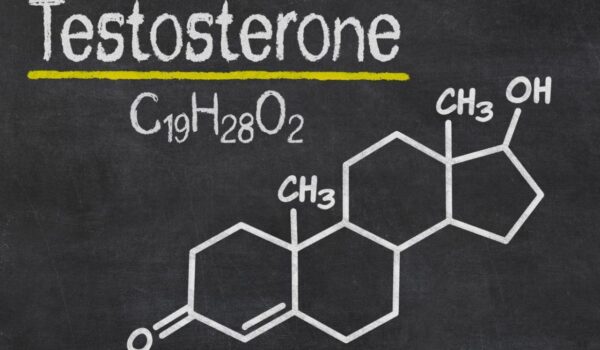 نحوه فعالیت و کنش تستوسترون