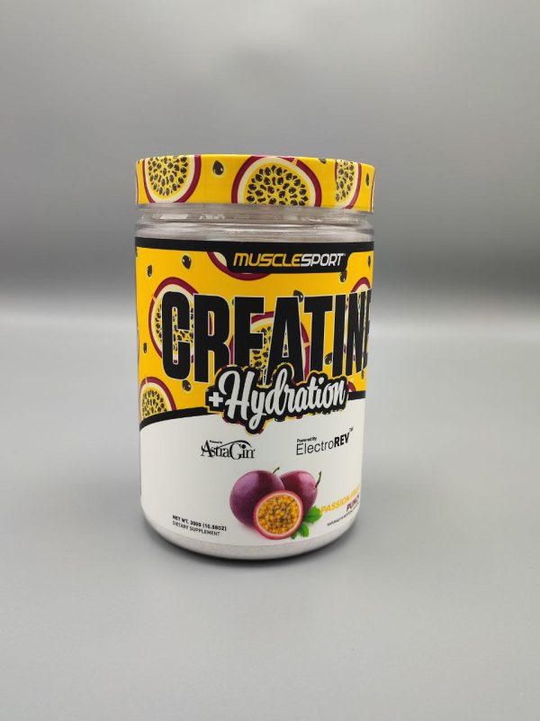 creatine musclesport