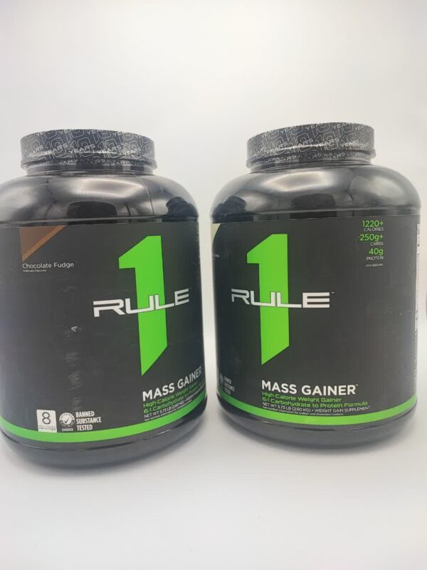 Gainer RULE1